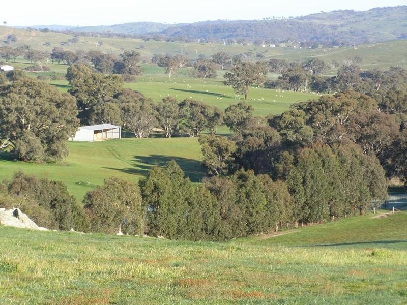 681 Sylvia Vale Road, Binda NSW 2583