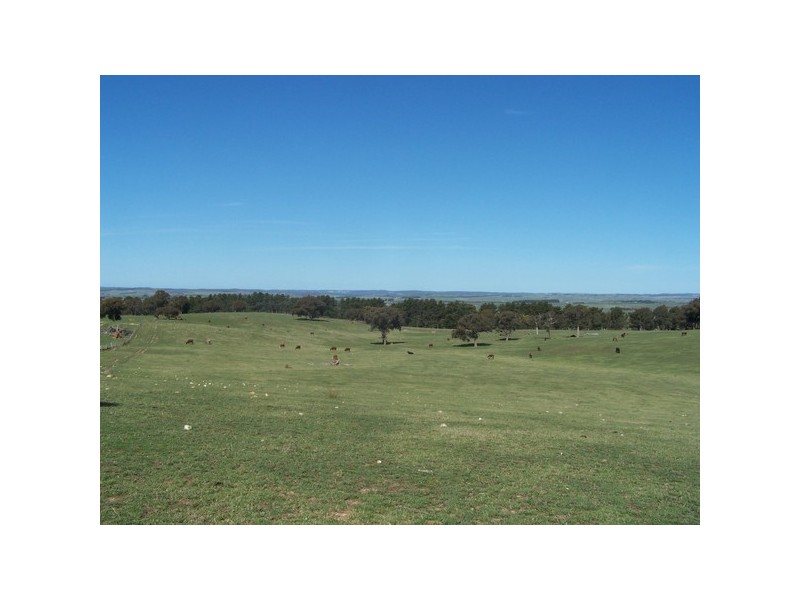 Lot 4 Fullerton Road, Laggan NSW 2583