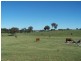 Lot 4 Fullerton Road, Laggan NSW 2583