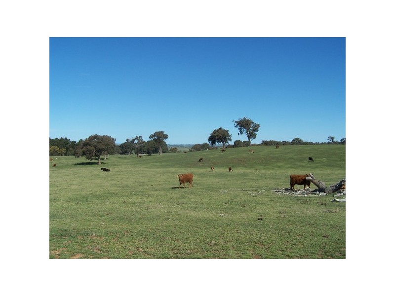 Lot 4 Fullerton Road, Laggan NSW 2583
