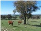 Lot 4 Fullerton Road, Laggan NSW 2583