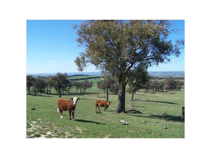 Lot 4 Fullerton Road, Laggan NSW 2583