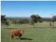 Lot 4 Fullerton Road, Laggan NSW 2583