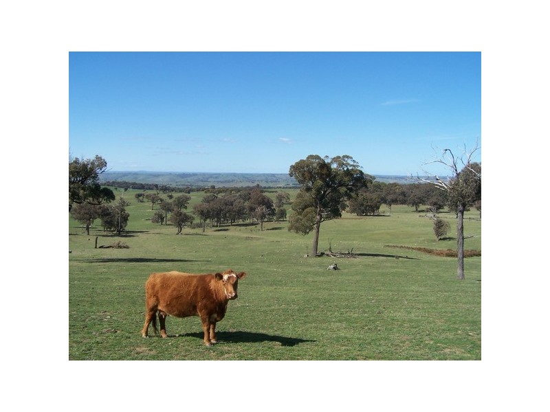 Lot 4 Fullerton Road, Laggan NSW 2583