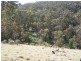 974 Mares Forest Road, Wombeyan Caves NSW 2580