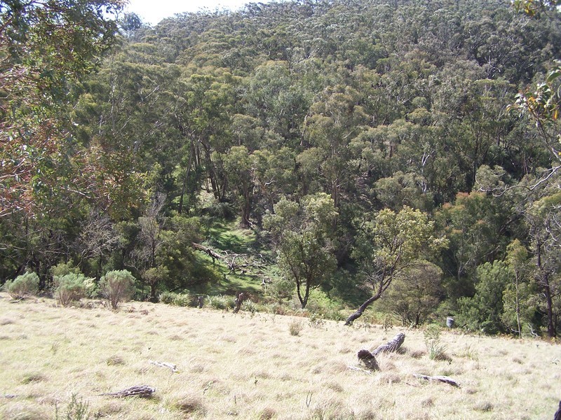 974 Mares Forest Road, Wombeyan Caves NSW 2580