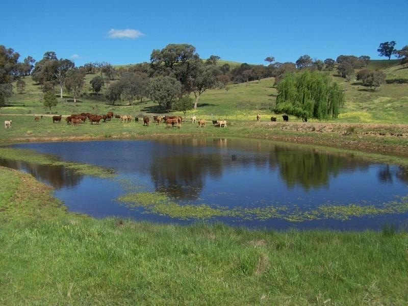 1892 Fish River Road, Narrawa NSW 2583