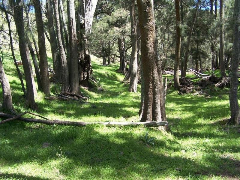 1894 Fish River Road, Narrawa NSW 2583