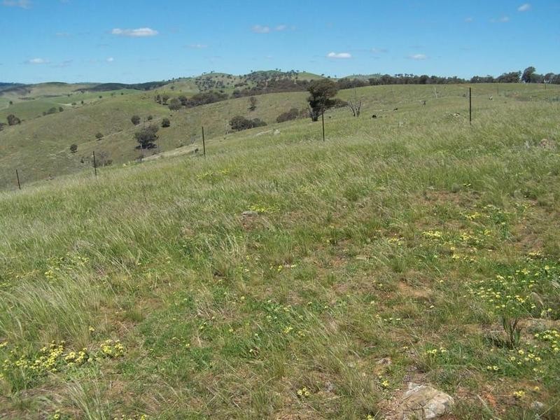 1894 Fish River Road, Narrawa NSW 2583