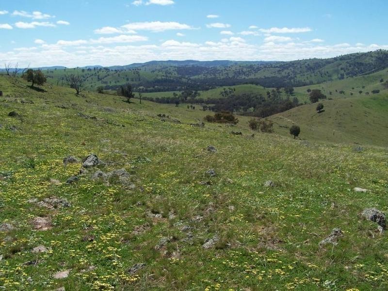 1894 Fish River Road, Narrawa NSW 2583