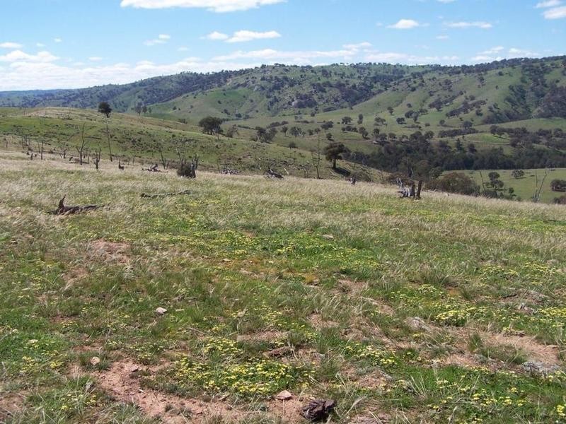 1894 Fish River Road, Narrawa NSW 2583