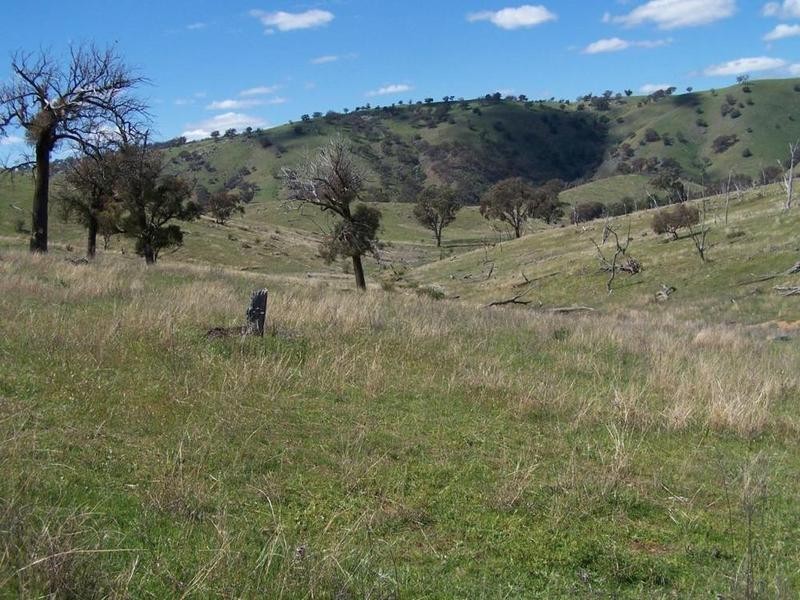 1894 Fish River Road, Narrawa NSW 2583