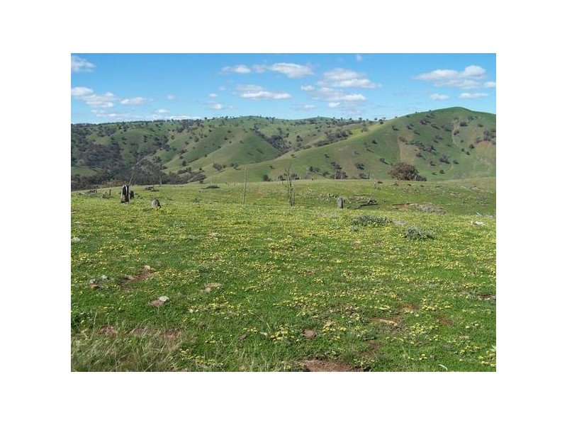 1893 Fish River Road, Narrawa NSW 2583