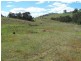 1893 Fish River Road, Narrawa NSW 2583