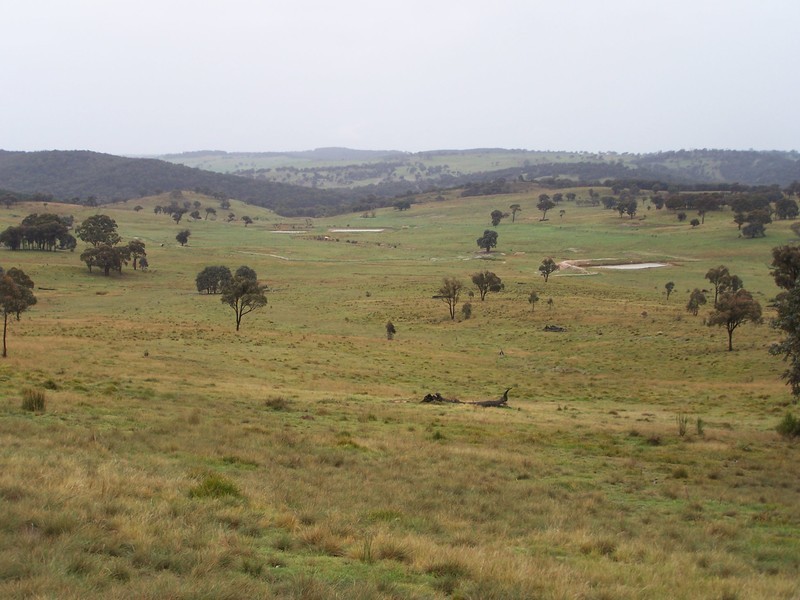 Lot 245 Rhyanna Road, Goulburn NSW 2580