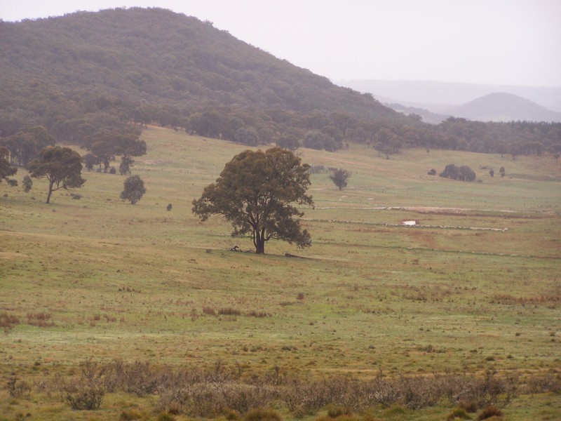 Lot 245 Rhyanna Road, Goulburn NSW 2580