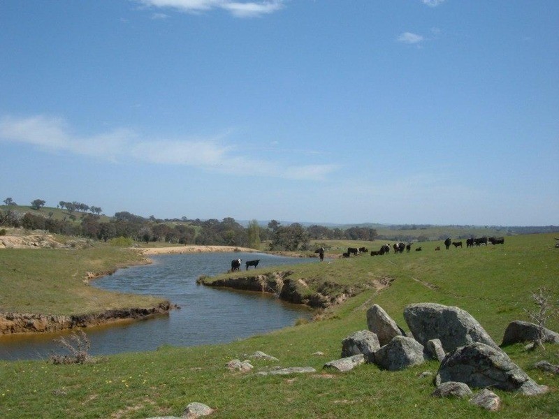 Lot 5 Bevendale Road, Bevendale NSW 2581