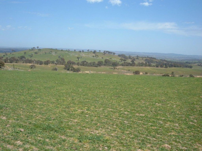 Lot 5 Bevendale Road, Bevendale NSW 2581