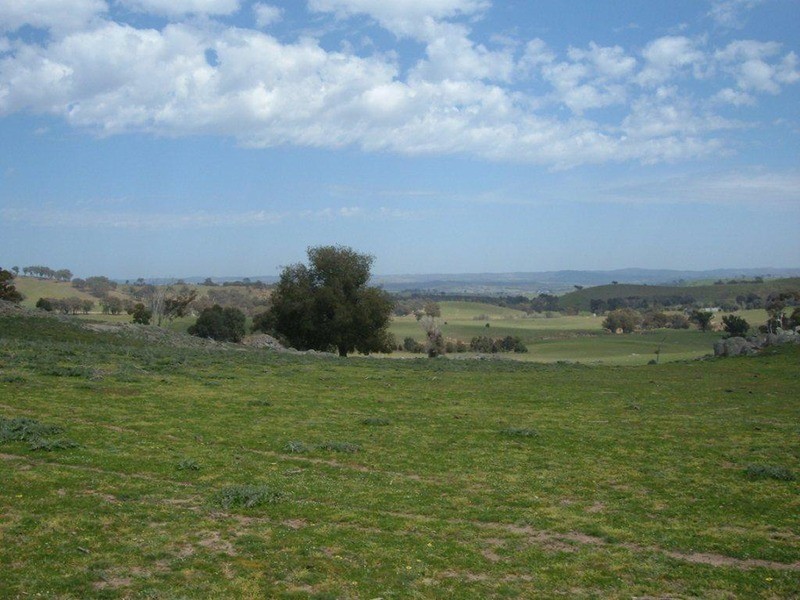 Lot 5 Bevendale Road, Bevendale NSW 2581