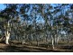 65 Wattle Place, Bungonia NSW 2580