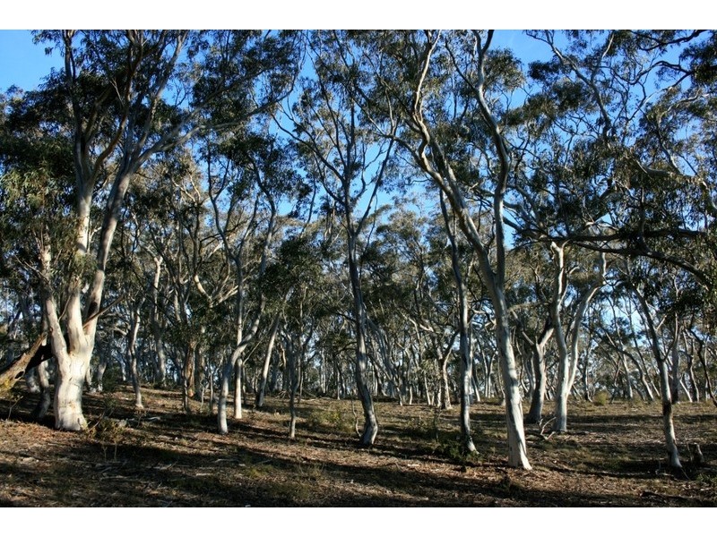 65 Wattle Place, Bungonia NSW 2580