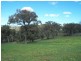 713 Mulgowrie Road, Crooked Corner NSW 2583