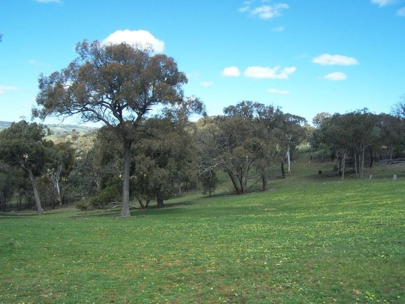 713 Mulgowrie Road, Crooked Corner NSW 2583