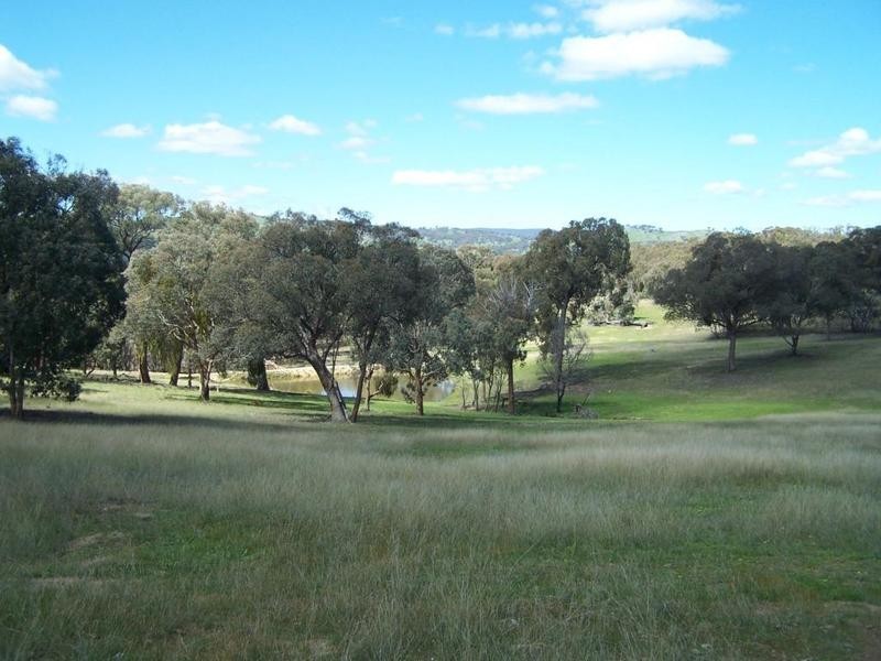 713 Mulgowrie Road, Crooked Corner NSW 2583