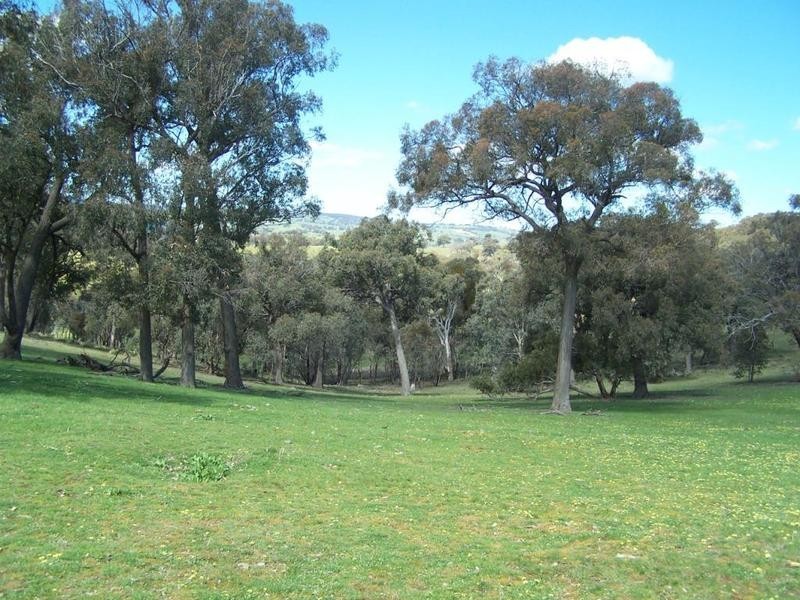 713 Mulgowrie Road, Crooked Corner NSW 2583