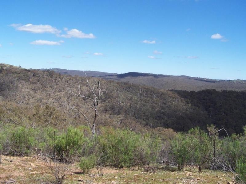 713 Mulgowrie Road, Crooked Corner NSW 2583