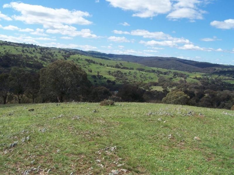 713 Mulgowrie Road, Crooked Corner NSW 2583