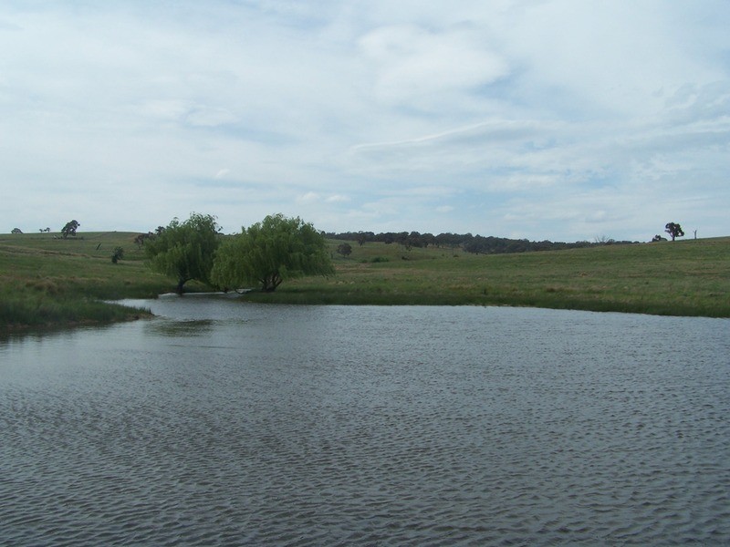 858 Gurrundah Road, Goulburn NSW 2580