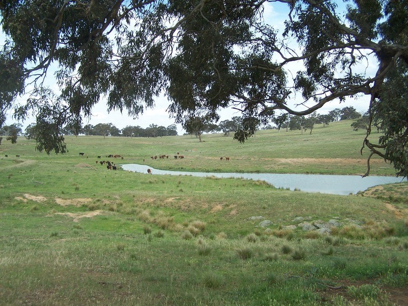 858 Gurrundah Road, Goulburn NSW 2580