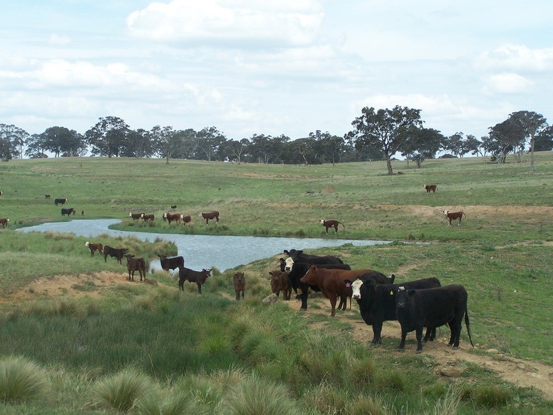 858 Gurrundah Road, Goulburn NSW 2580