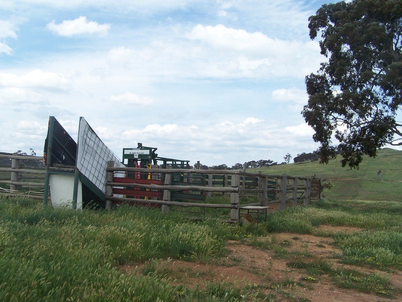 858 Gurrundah Road, Goulburn NSW 2580