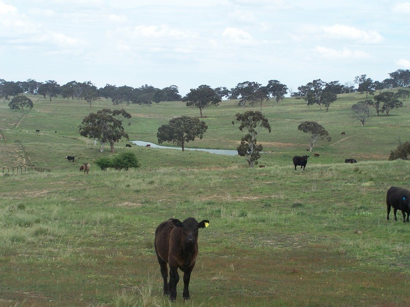 858 Gurrundah Road, Goulburn NSW 2580