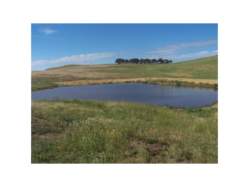 Lot 5 Trappers Way, Woodhouselee NSW 2580