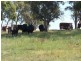 Lot 5 Trappers Way, Woodhouselee NSW 2580