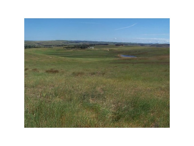 Lot 5 Trappers Way, Woodhouselee NSW 2580