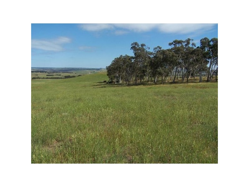 Lot 5 Trappers Way, Woodhouselee NSW 2580
