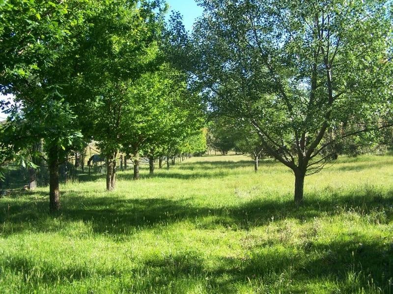 Lot 3 Camp Street, Grabben Gullen NSW 2583