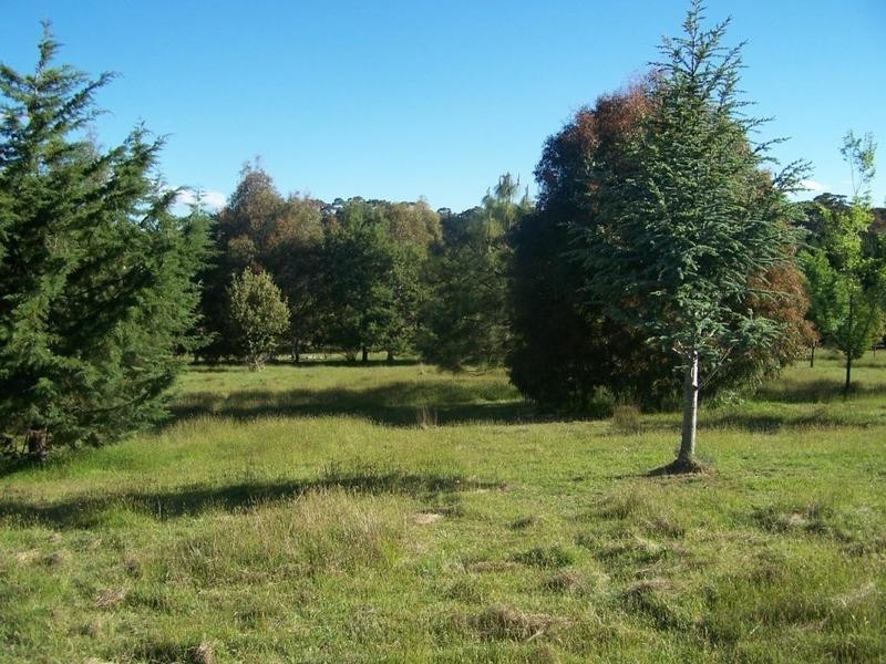 Lot 3 Camp Street, Grabben Gullen NSW 2583