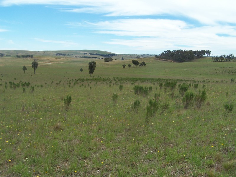 Lot 2 Trappers Way, Woodhouselee NSW 2580