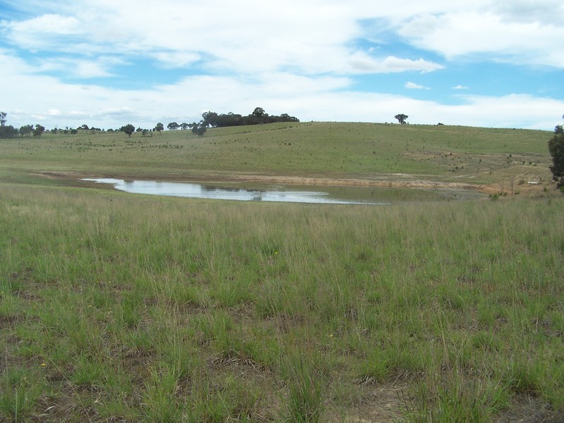 Lot 2 Trappers Way, Woodhouselee NSW 2580