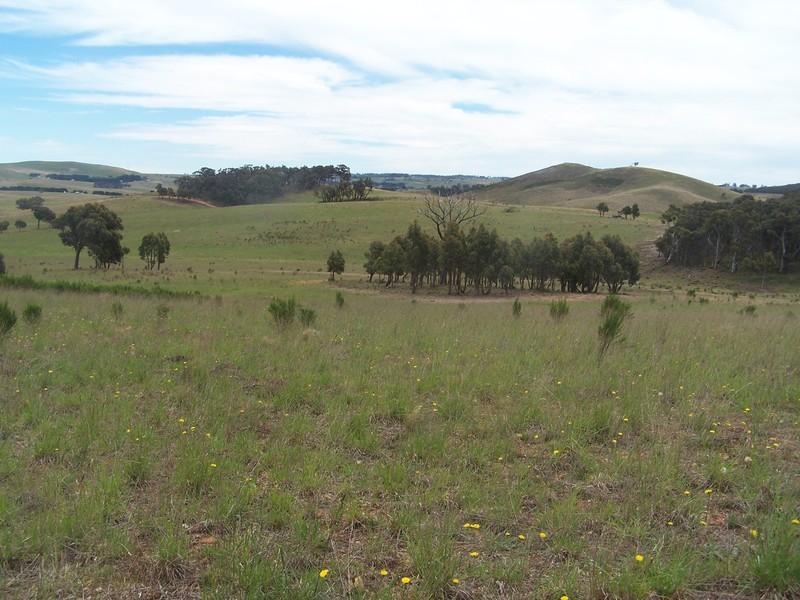 Lot 2 Trappers Way, Woodhouselee NSW 2580