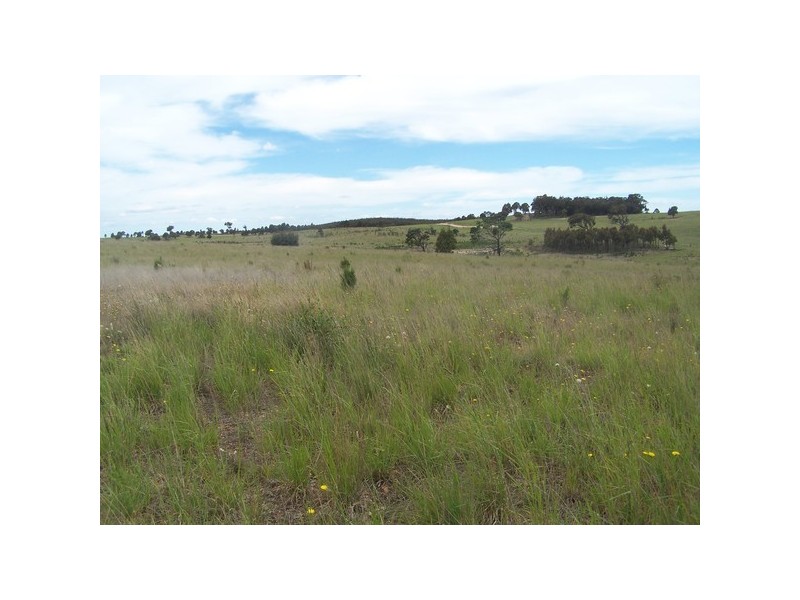 Lot 4 Trappers Way, Woodhouselee NSW 2580