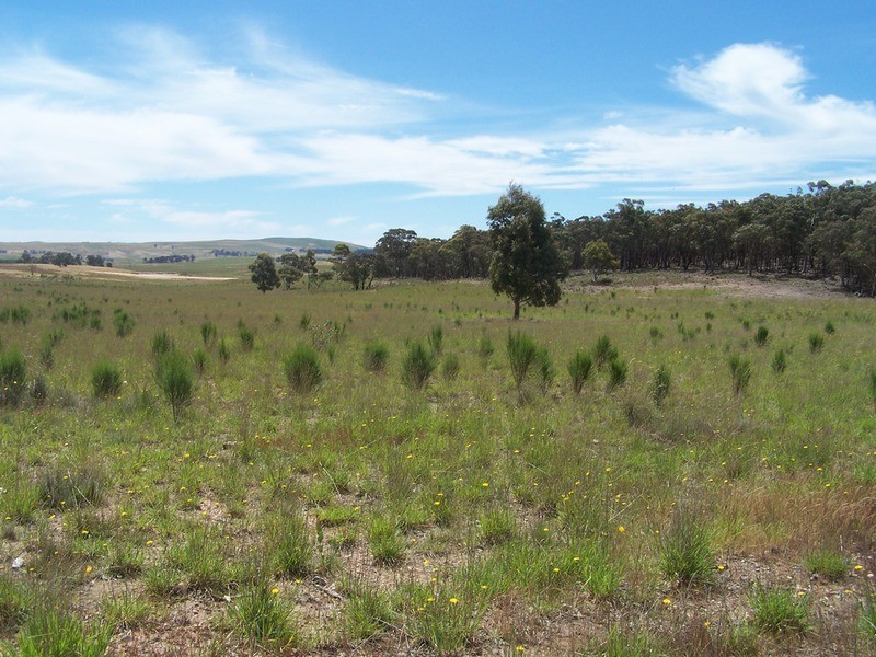 Lot 10 Annie’s Lane, Woodhouselee NSW 2580