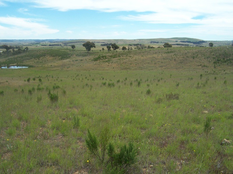 Lot 3 Annies Lane, Woodhouselee NSW 2580