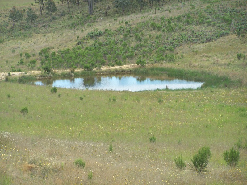 Lot 3 Annies Lane, Woodhouselee NSW 2580