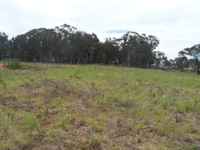 Lot 3 Annies Lane, Woodhouselee NSW 2580